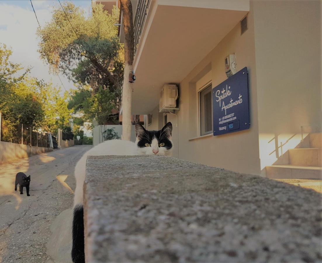 Spitaki Apartments Potos Buitenkant foto